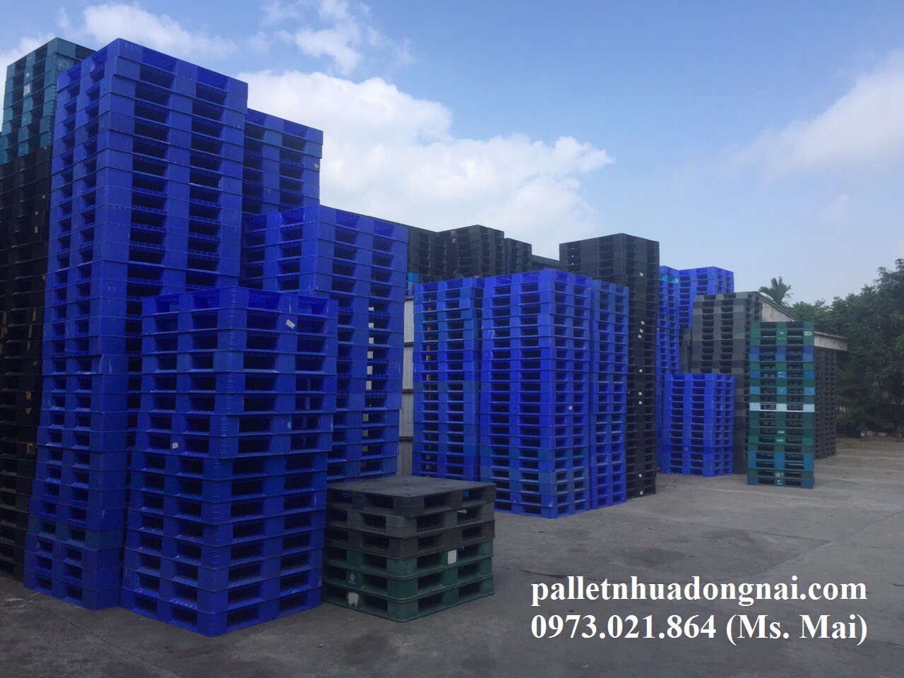 Công ty sản xuất pallet nhựa