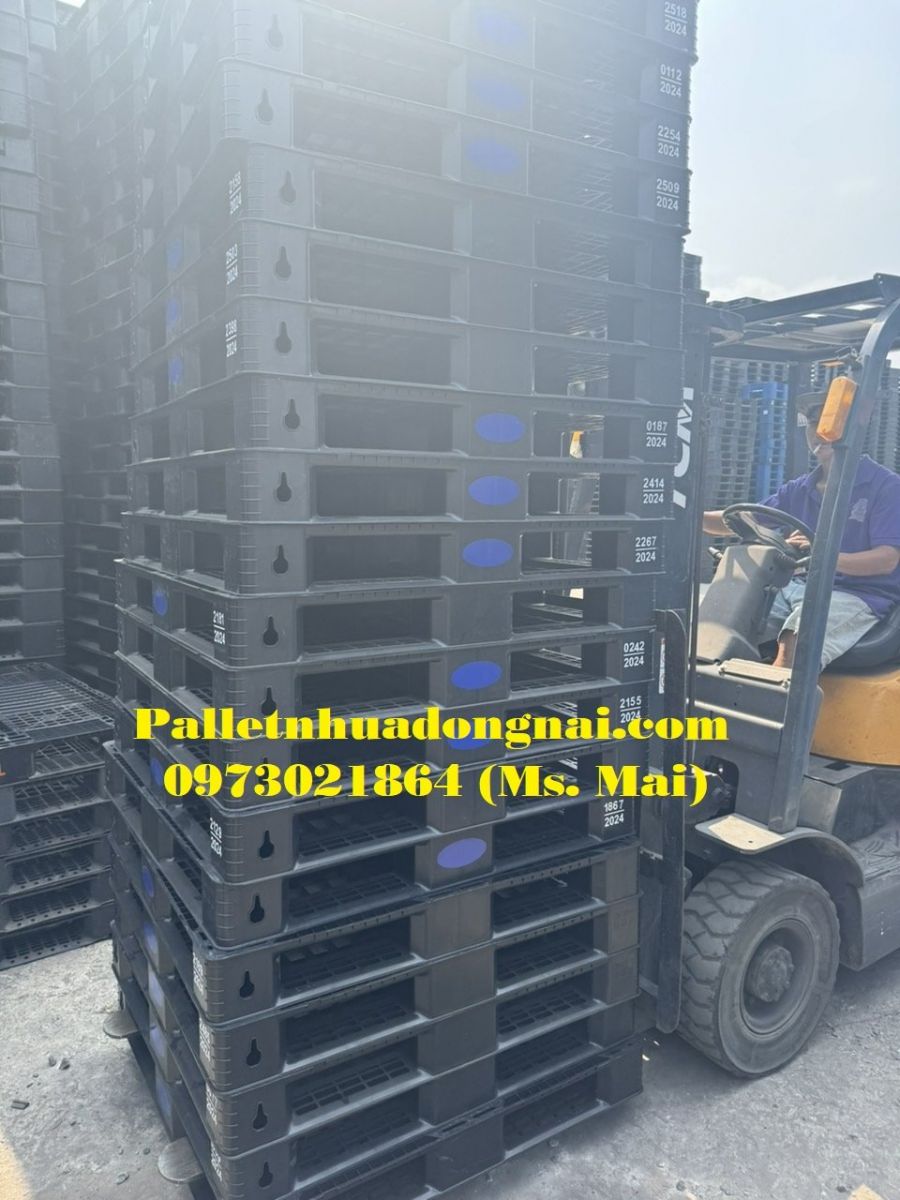 Pallet nhựa An Giang giá rẻ cạnh tranh, giao hàng tận nơi