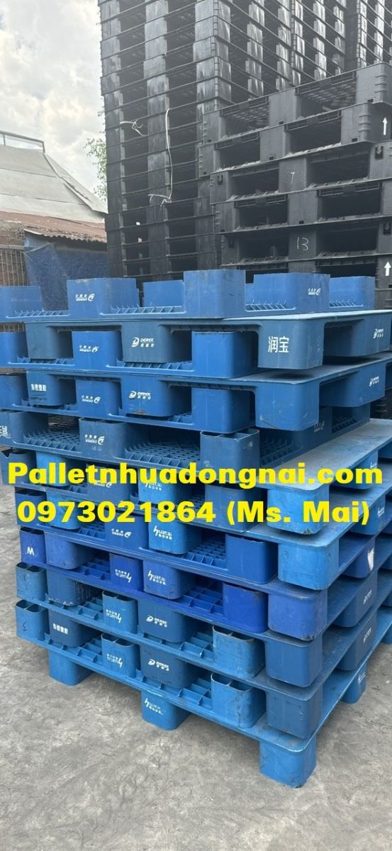 Pallet nhựa Bến Tre chất lượng bền vững, giá rẻ nhất thị trường