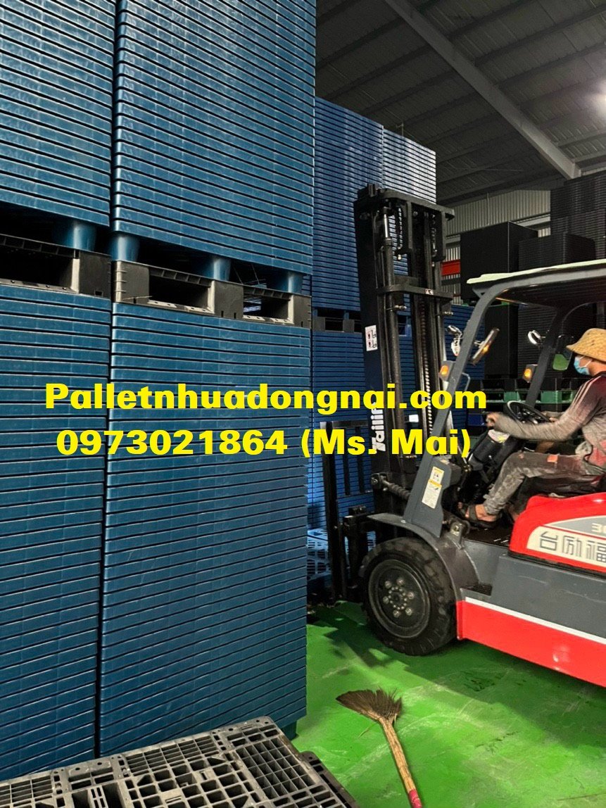 Pallet nhựa Bến Tre chất lượng bền vững, giá rẻ nhất thị trường