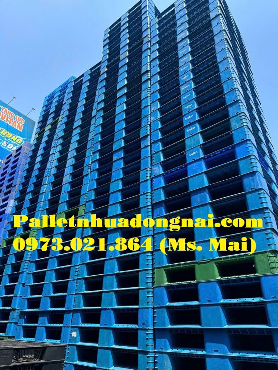 Pallet nhựa Bình Định, liên hệ 0973021864 (24/7)