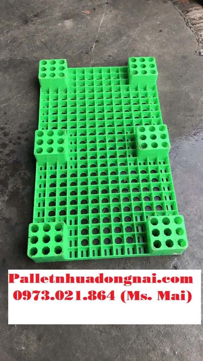 Nhà cung cấp pallet nhựa Bình Dương uy tín nhất hiện nay