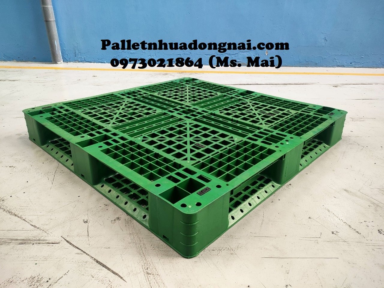 Cung cấp pallet nhựa Cần Thơ giá cực rẻ, chất lượng