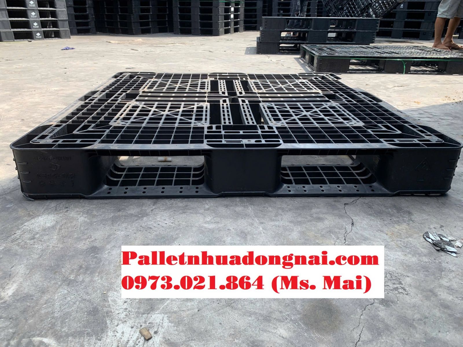 Pallet nhựa cũ An Giang giá rẻ bất ngờ, liên hệ 0973021864 (24/7)