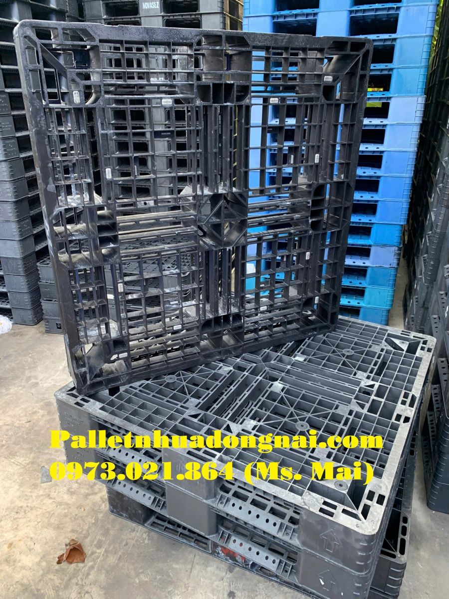 Pallet nhựa cũ An Giang giá rẻ bất ngờ, liên hệ 0973021864 (24/7)