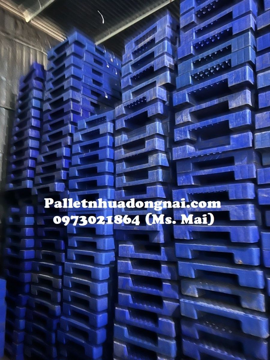 Pallet nhựa cũ Bạc Liêu chất lượng cao mới 95%