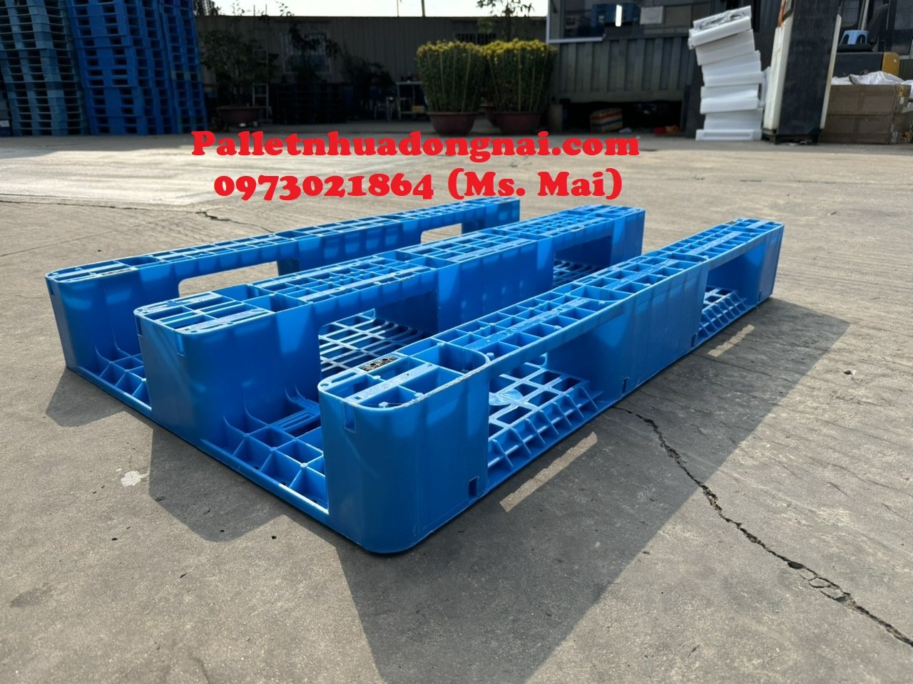 Pallet nhựa cũ Bạc Liêu chất lượng cao mới 95%