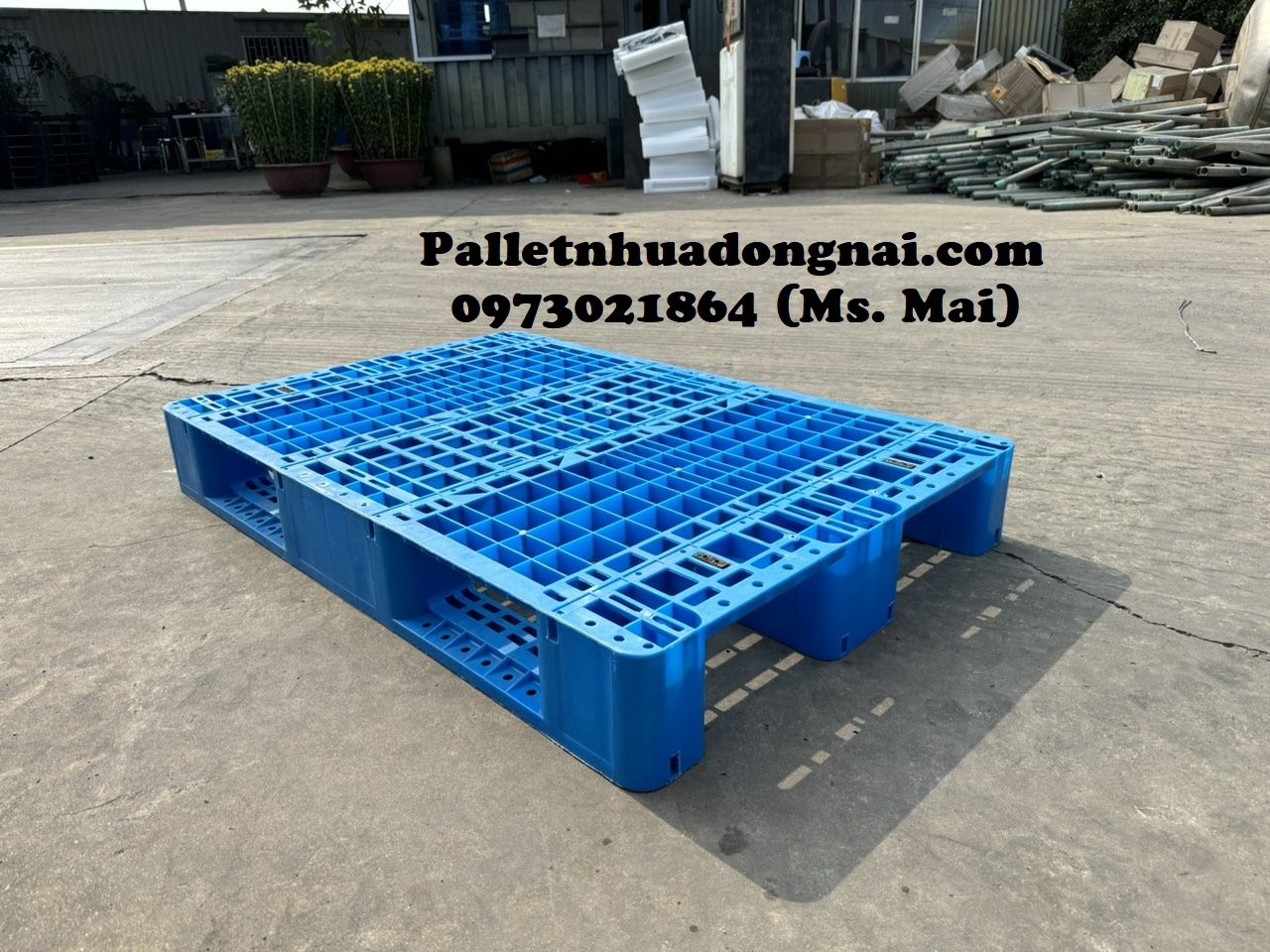 Pallet nhựa cũ Bạc Liêu chất lượng cao mới 95%