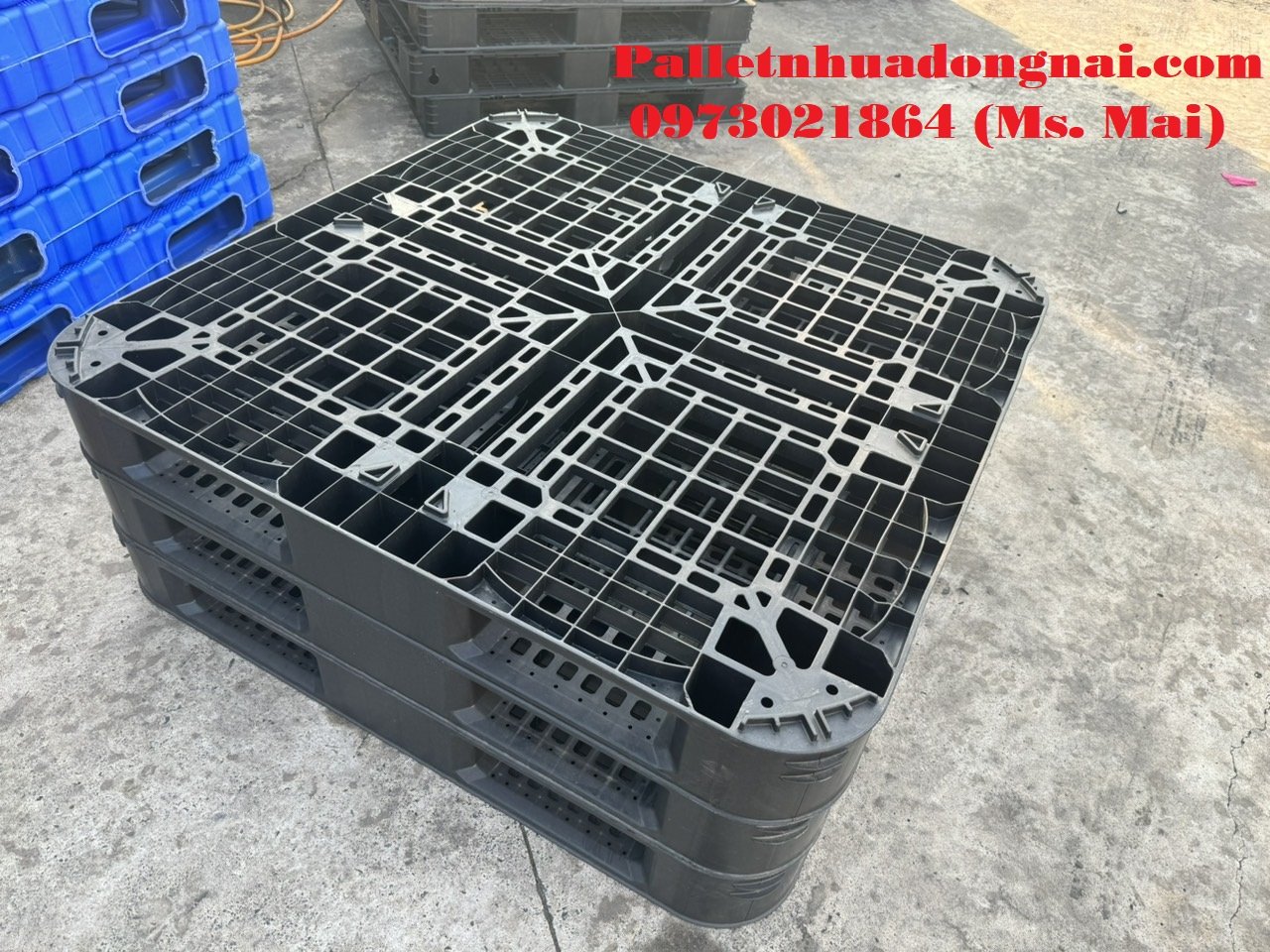 Pallet nhựa cũ Bạc Liêu chất lượng cao mới 95%