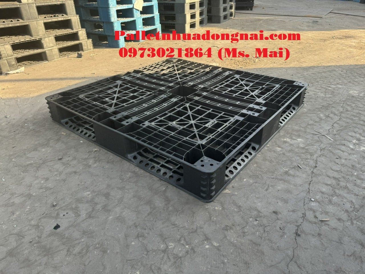 Pallet nhựa cũ Bạc Liêu chất lượng cao mới 95%