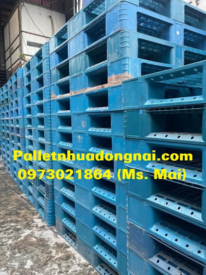 Pallet nhựa cũ Cà Mau giá rẻ cạnh tranh, liên hệ 0973021864 (24/7)