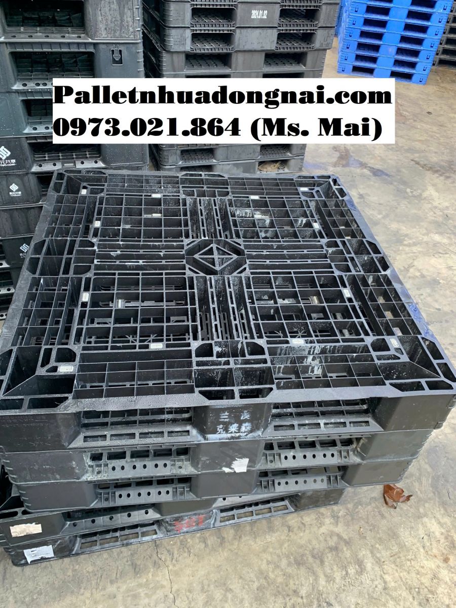 Giá pallet nhựa cũ Gia Lai rẻ nhất thị trường