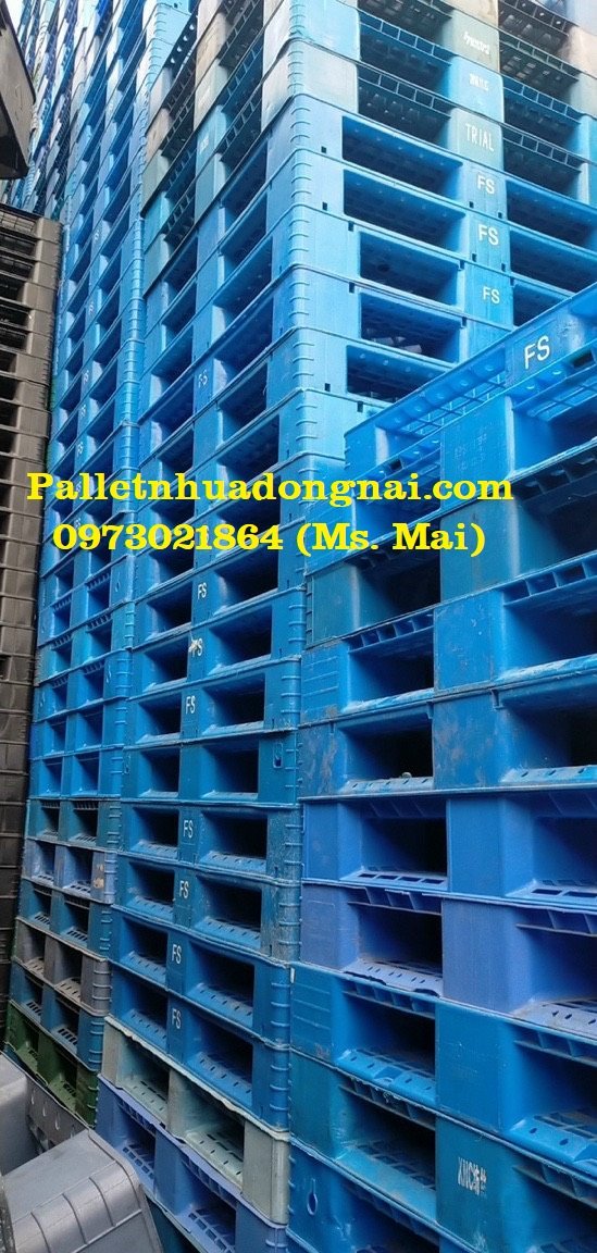 Cung cấp pallet nhựa cũ giá rẻ Tây Ninh