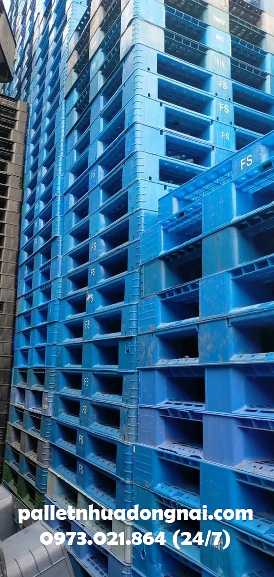 Công ty bán pallet nhựa tại Đăk Lăk giá rẻ và uy tín