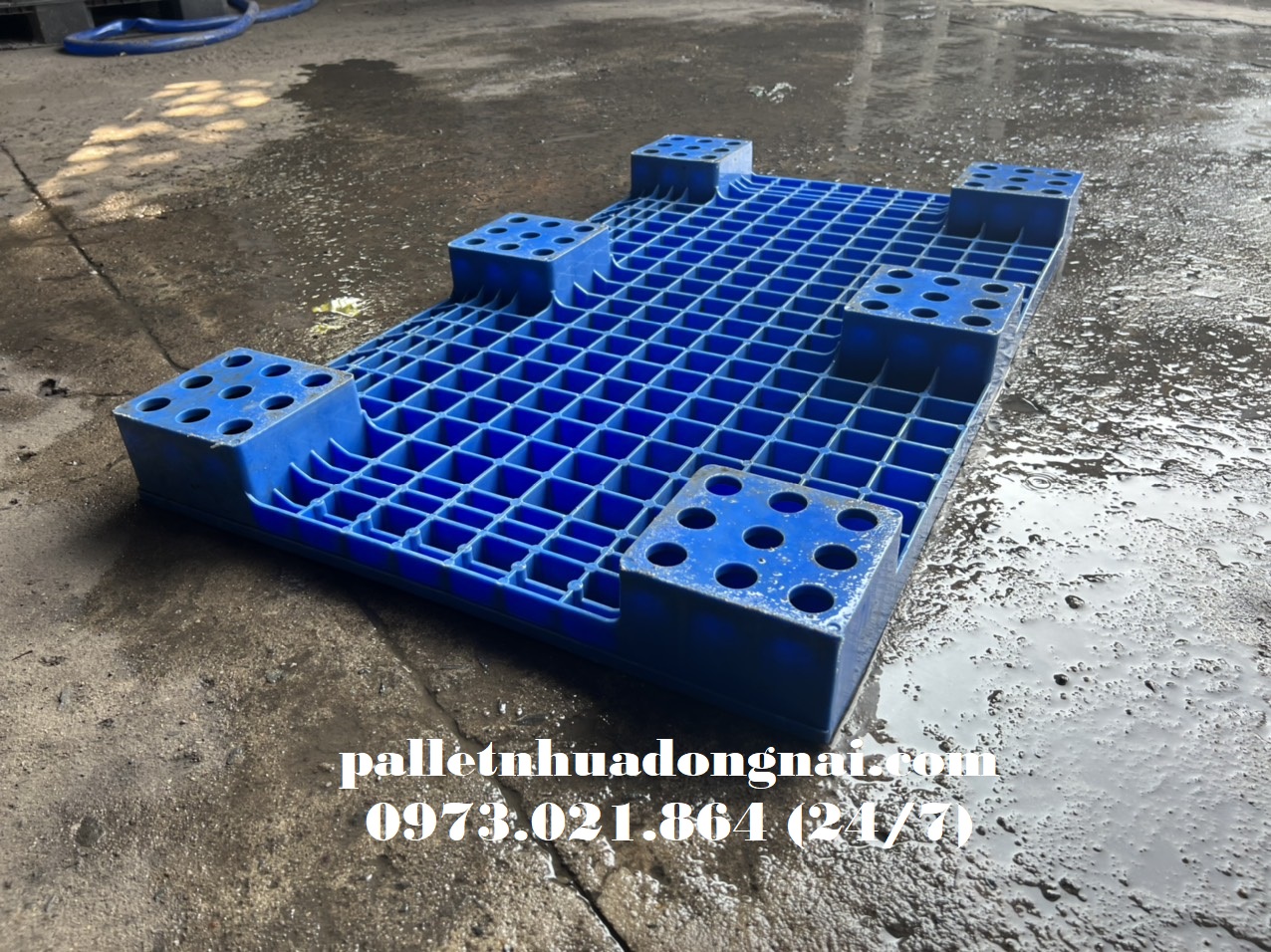 Công ty bán pallet nhựa tại Đăk Lăk giá rẻ và uy tín