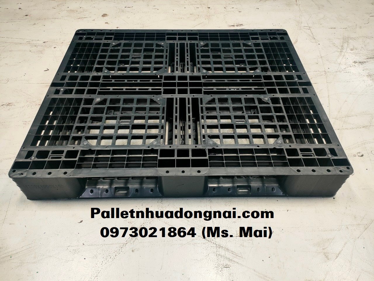 Cung cấp pallet nhựa Đồng Tháp chất lượng hàng đầu