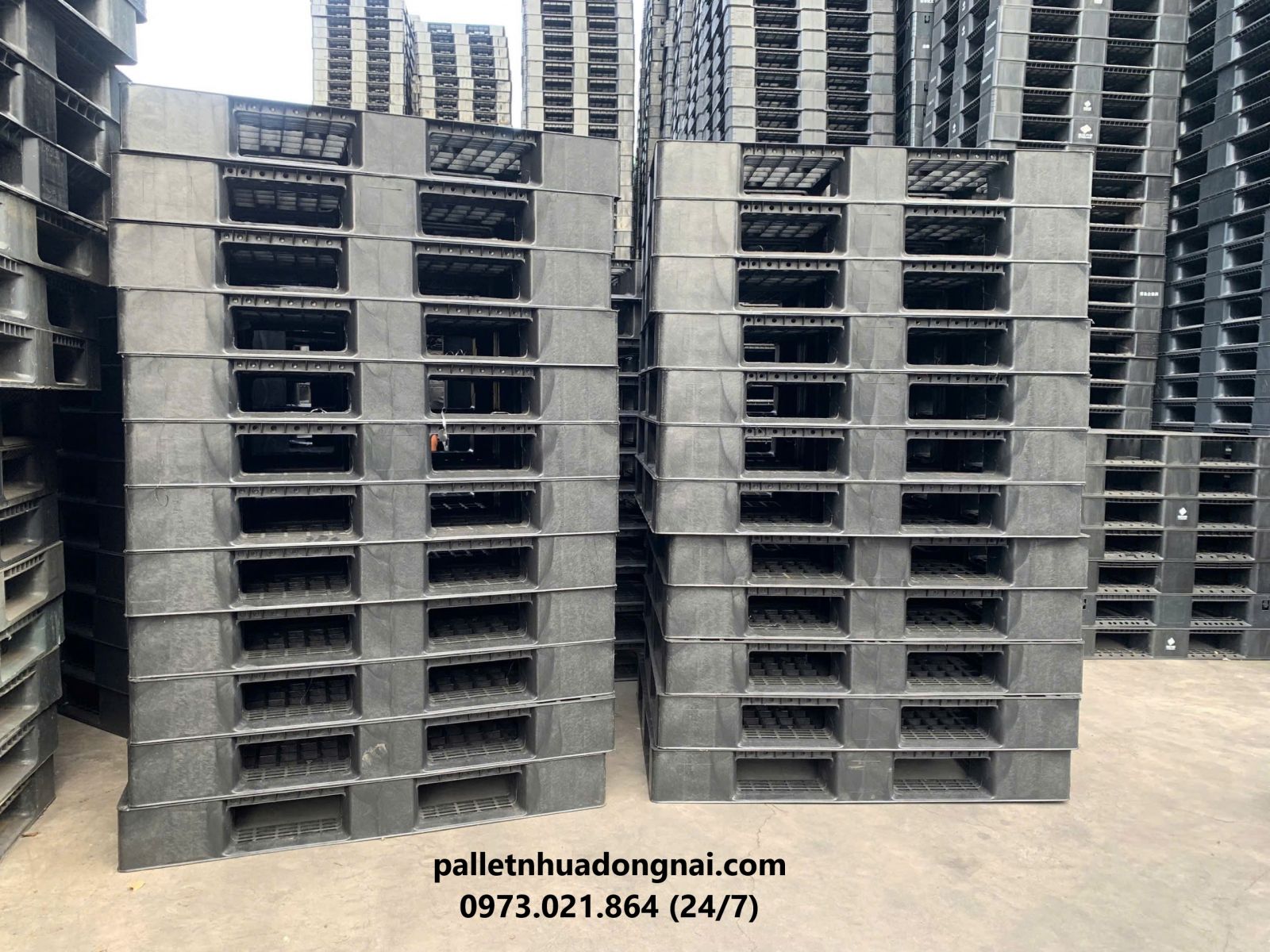 Pallet nhựa giá rẻ Tây Ninh, miễn phí giao hàng