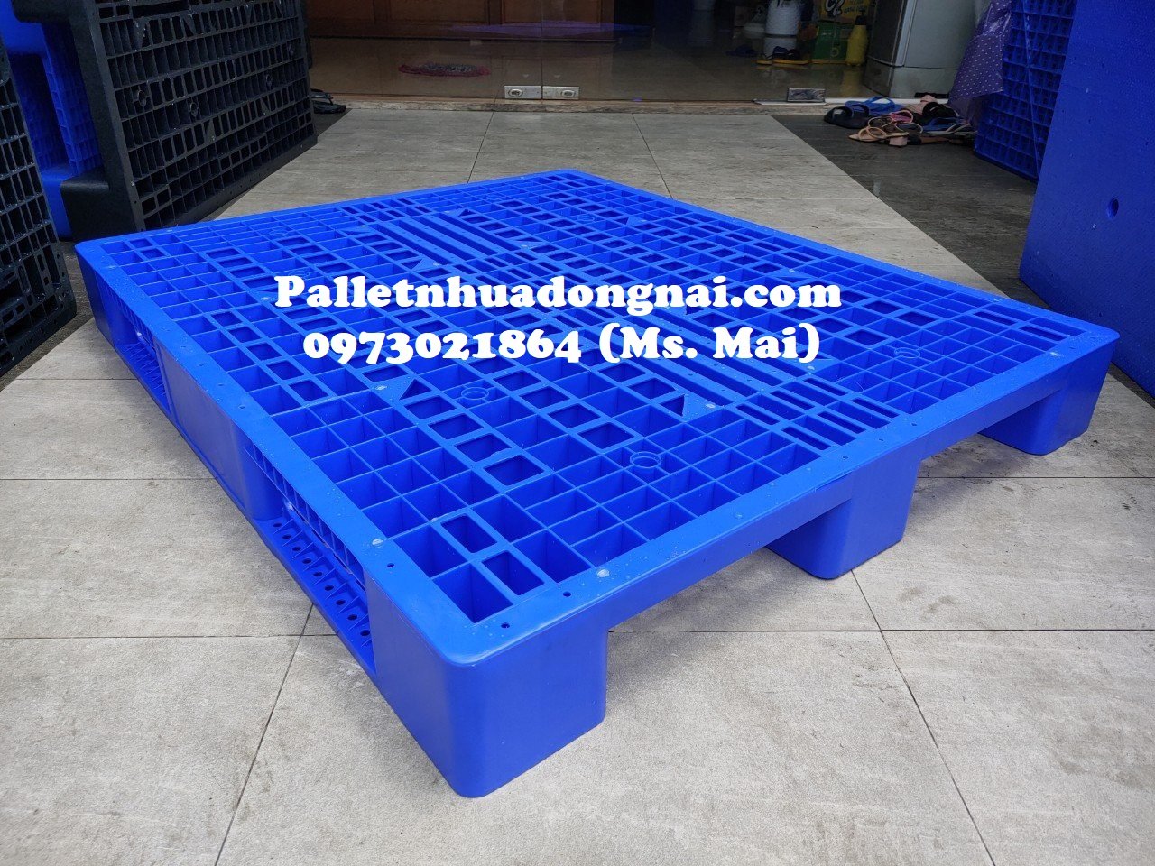 Đại lý cung cấp pallet nhựa Quảng Nam giá rẻ, bền đẹp