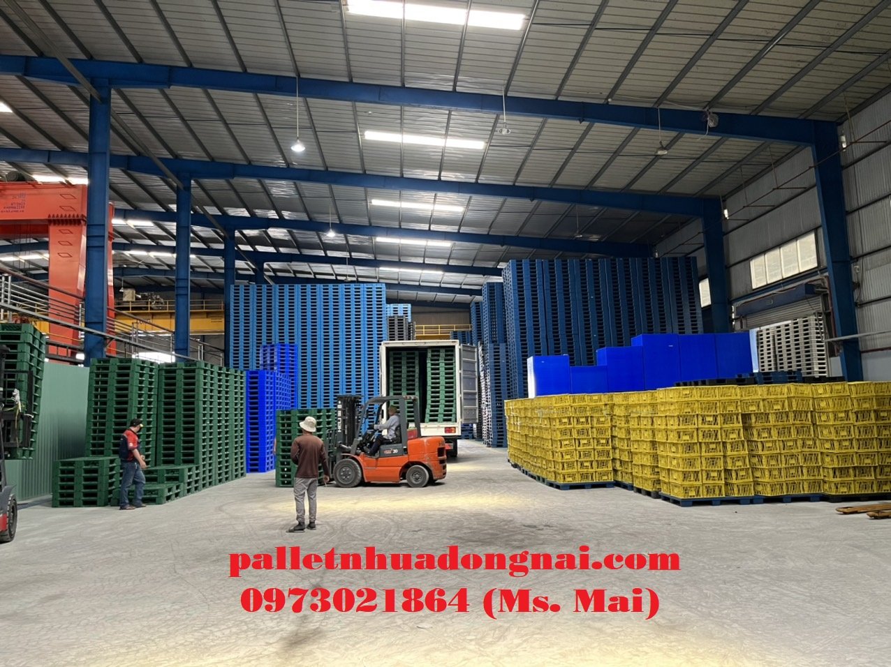 Địa chỉ cung cấp pallet nhựa Sóc Trăng tin cậy của nhiều doanh nghiệp