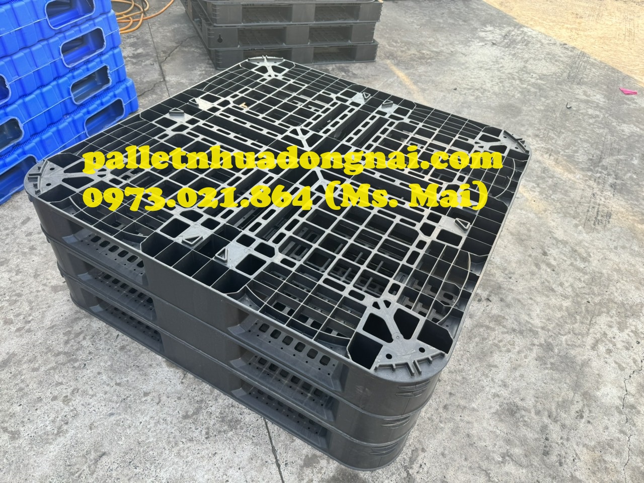 Bán pallet nhựa Tây Ninh giá cực rẻ, liên hệ 0973021864 (24/7)