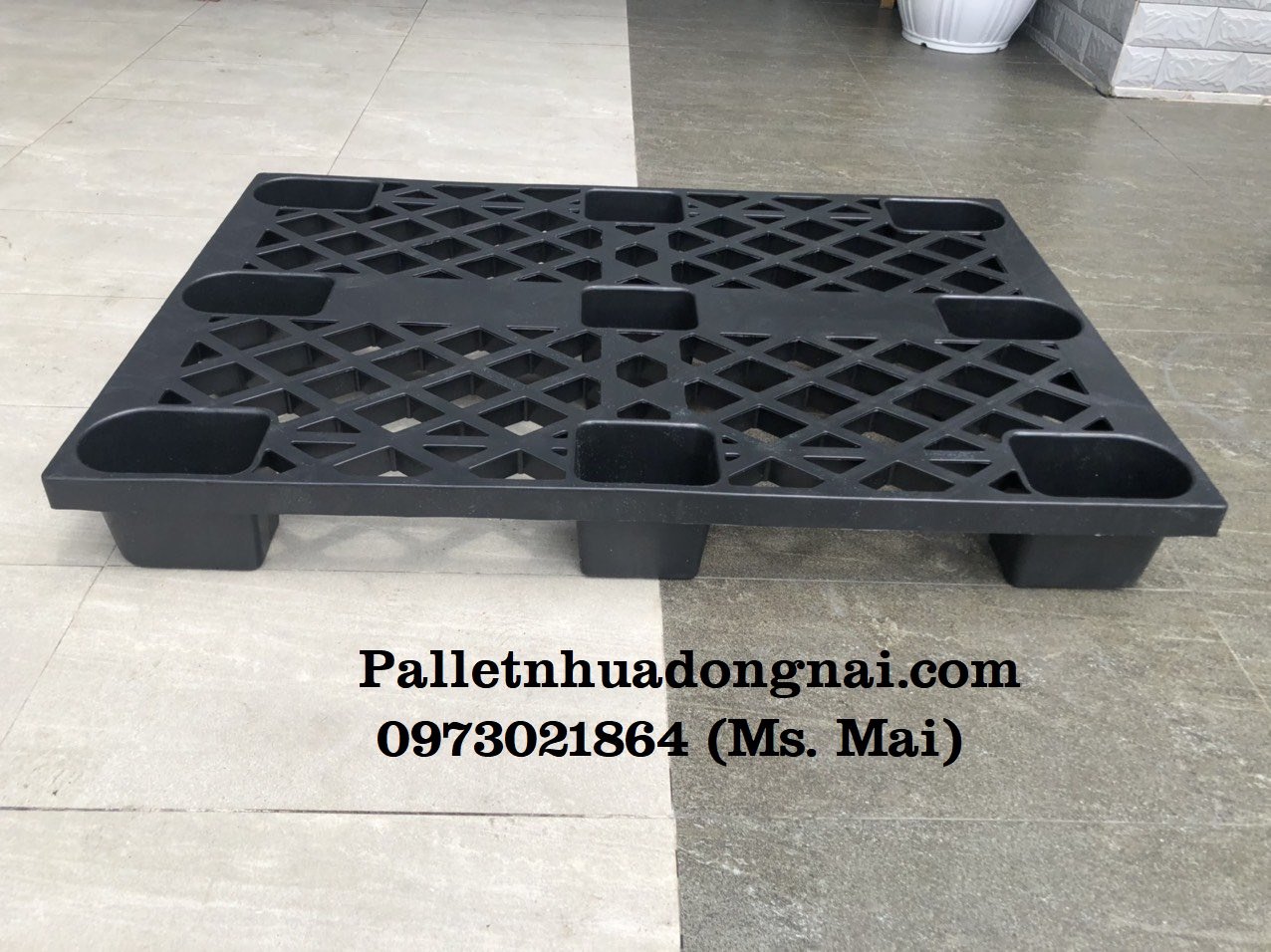 Địa chỉ mua pallet nhựa Trà Vinh số lượng lớn, giá rẻ