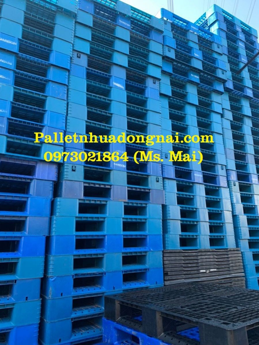 Thu mua pallet nhựa cũ Bến Tre uy tín, liên hệ 0973021864 (24/7)