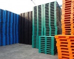 Phân phối pallet nhựa cũ tại Đồng Nai