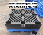 Kệ pallet nhựa là gì?