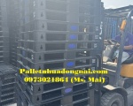 Pallet nhựa cũ Bạc Liêu chất lượng cao mới 95%