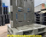 Nhà cung cấp pallet nhựa cũ Bình Định uy tín