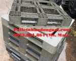 Pallet nhựa cũ Đồng Tháp giá rẻ cạnh tranh, liên hệ 0973021864 (24/7)