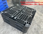 Cung cấp pallet nhựa cũ giá rẻ Tây Ninh 