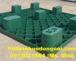 Cung cấp pallet nhựa Đồng Tháp chất lượng hàng đầu