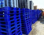 Pallet nhựa tại Ninh Thuận, liên hệ 0973021864 (24/7) 