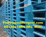 Thu mua pallet nhựa cũ Bến Tre uy tín, liên hệ 0973021864 (24/7)