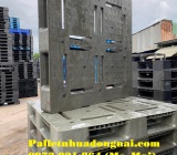 Nhà cung cấp pallet nhựa cũ Bình Định uy tín