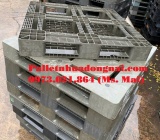 Pallet nhựa cũ Đồng Tháp giá rẻ cạnh tranh, liên hệ 0973021864 (24/7)