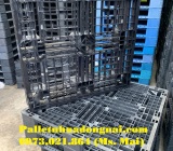 Giá pallet nhựa cũ Gia Lai rẻ nhất thị trường