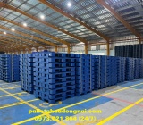 Pallet nhựa giá rẻ Bình Dương, hàng mới từ 90%