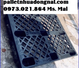 Pallet nhựa Bạc Liêu, giá rẻ chỉ từ 160.000đ