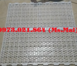 Tấm nhựa lót sàn vịt kt 50x100cm 